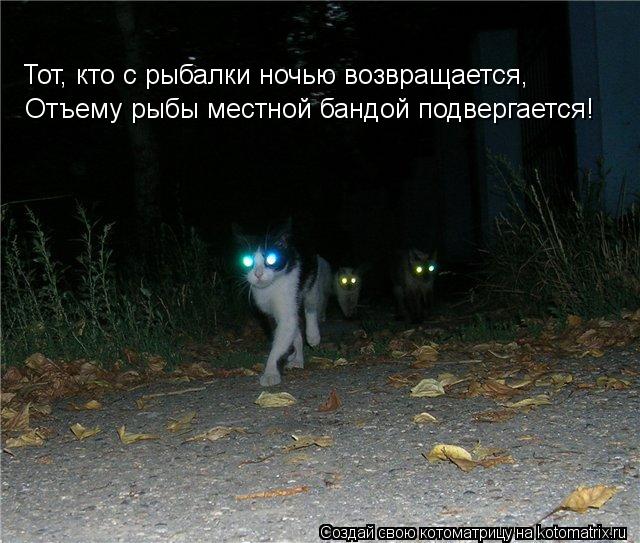 Тот, кто с рыбалки ночью возвращается, Отъему рыбы местной бандой подвергается!... Котоматрица: Тот, кто с рыбалки ночью возвращается, Отъему рыбы местной бандой подвергается!