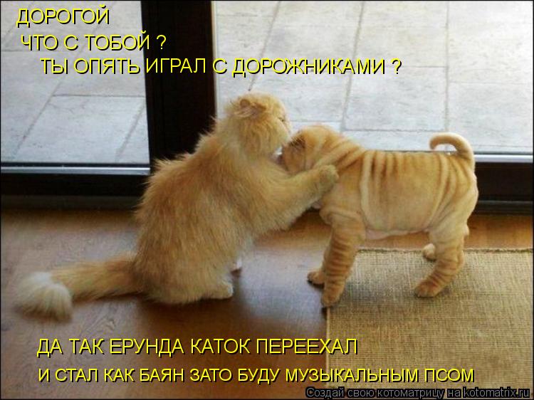 ДА ТАК ЕРУНДА КАТОК ПЕРЕЕХАЛ ДОРОГОЙ ЧТО С ТОБОЙ ? ТЫ ОПЯТЬ ИГРАЛ С ДОРОЖНИКАМИ ? И СТАЛ КАК БАЯН З... Котоматрица: ДА ТАК ЕРУНДА КАТОК ПЕРЕЕХАЛ ДОРОГОЙ ЧТО С ТОБОЙ ? ТЫ ОПЯТЬ ИГРАЛ С ДОРОЖНИКАМИ ? И СТАЛ КАК БАЯН ЗАТО БУДУ МУЗЫКАЛЬНЫМ ПСОМ