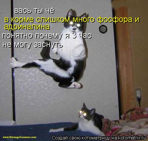 вась ты чё в корме слишком много фосфора и адриналина понятно почему я 3 час не могу заснуть... Котоматрица: вась ты чё в корме слишком много фосфора и адриналина понятно почему я 3 час не могу заснуть