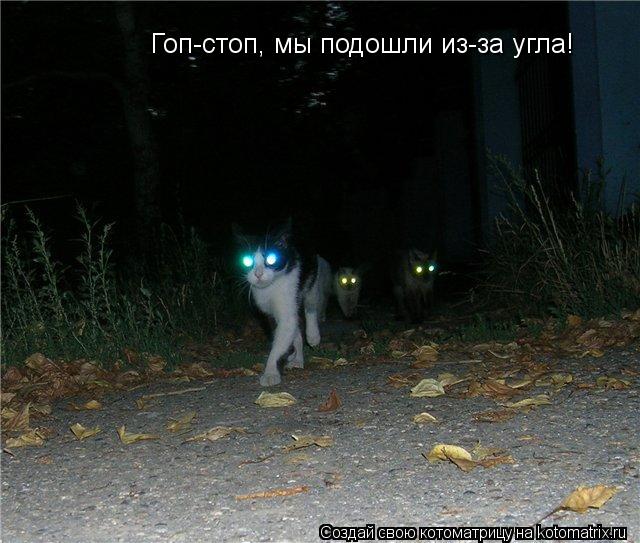 Котоматрица: Гоп-стоп, мы подошли из-за угла!