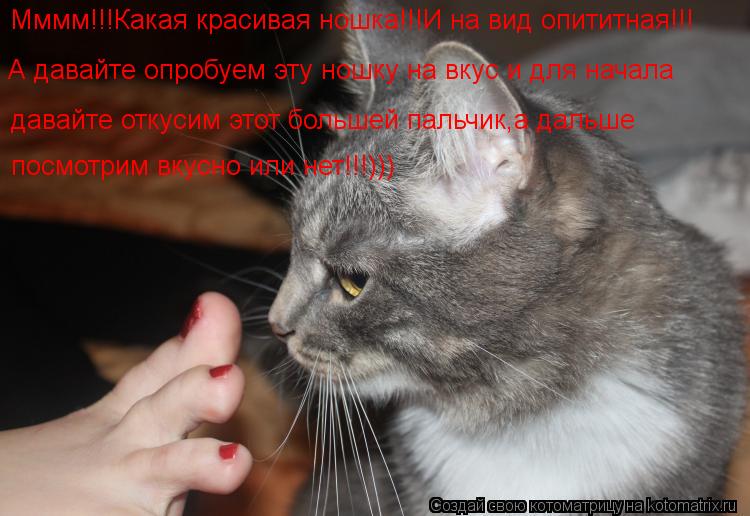 Мммм!!!Какая красивая ношка!!!И на вид опититная!!! А давайте опробуем эту ношку на вкус и для начала... Котоматрица: Мммм!!!Какая красивая ношка!!!И на вид опититная!!! А давайте опробуем эту ношку на вкус и для начала давайте откусим этот большей пальчик,а да