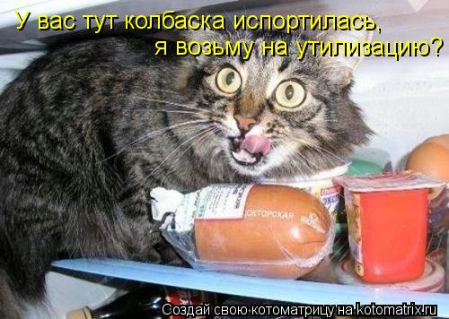 Котоматрица: У вас тут колбаска испортилась,  я возьму на утилизацию?