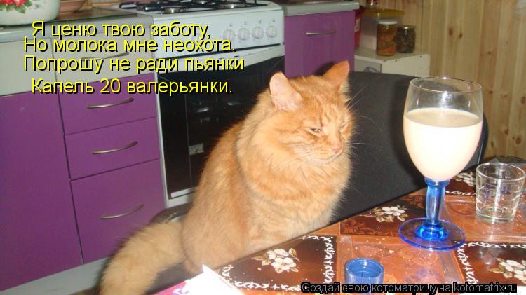 Я ценю твою заботу, Но молока мне неохота. Попрошу не ради пьянки Капель 20 валерьянки…... Котоматрица: Я ценю твою заботу, Но молока мне неохота. Попрошу не ради пьянки Капель 20 валерьянки…