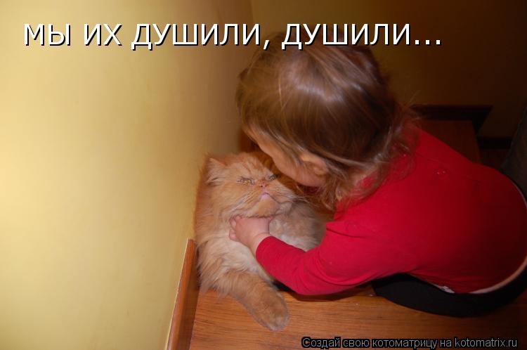 МЫ ИХ ДУШИЛИ, ДУШИЛИ...... Котоматрица: МЫ ИХ ДУШИЛИ, ДУШИЛИ...
