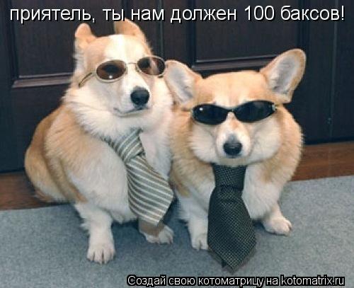 приятель, ты нам должен 100 баксов!... Котоматрица: приятель, ты нам должен 100 баксов!