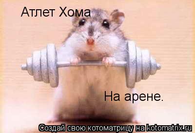 Атлет Хома На арене.... Котоматрица: Атлет Хома На арене.