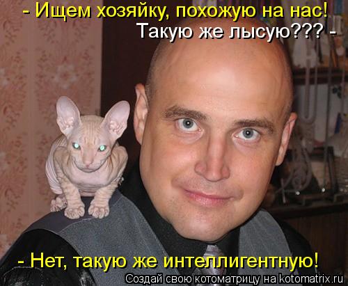 - Ищем хозяйку, похожую на нас! Такую же лысую??? - - Нет, такую же интеллигентную!... Котоматрица: - Ищем хозяйку, похожую на нас! Такую же лысую??? - - Нет, такую же интеллигентную!
