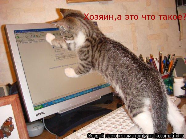 Хозяин,а это что такое?... Котоматрица: Хозяин,а это что такое?