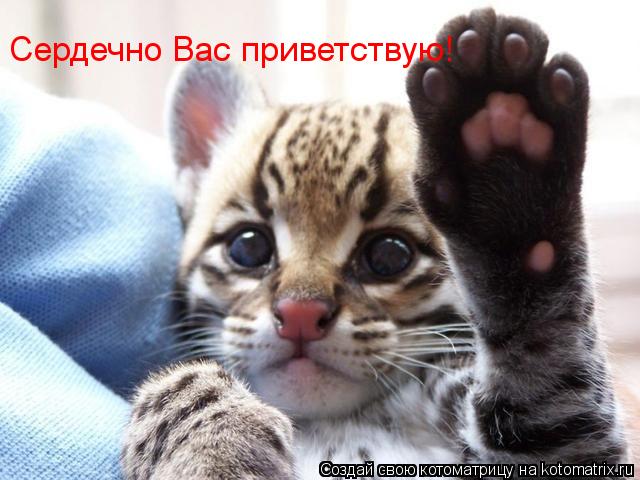 Сердечно Вас приветствую!... Котоматрица: Сердечно Вас приветствую!