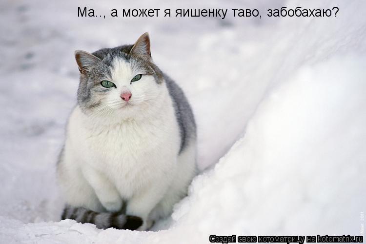 Ма.., а может я яишенку таво, забобахаю?... Котоматрица: Ма.., а может я яишенку таво, забобахаю?