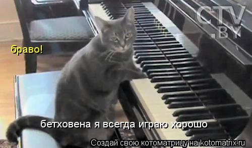 браво! бетховена я всегда играю хорошо... Котоматрица: браво! бетховена я всегда играю хорошо