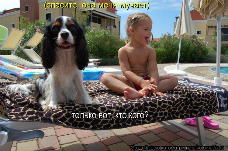 (спасите. она меня мучает) только вот, кто кого?... Котоматрица: (спасите. она меня мучает) только вот, кто кого?