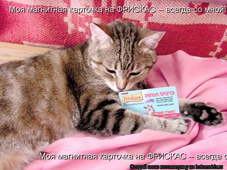 Моя магнитная карточка на ФРИСКАС -- всегда со мной! Моя магнитная карточка на ФРИСКАС -- всегда со м... Котоматрица: Моя магнитная карточка на ФРИСКАС -- всегда со мной! Моя магнитная карточка на ФРИСКАС -- всегда со мной! Моя магнитная карточка на ФРИСКАС --