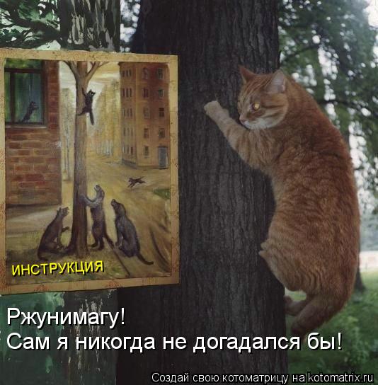 ИНСТРУКЦИЯ Ржунимагу! Сам я никогда не догадался бы!... Котоматрица: ИНСТРУКЦИЯ Ржунимагу! Сам я никогда не догадался бы!