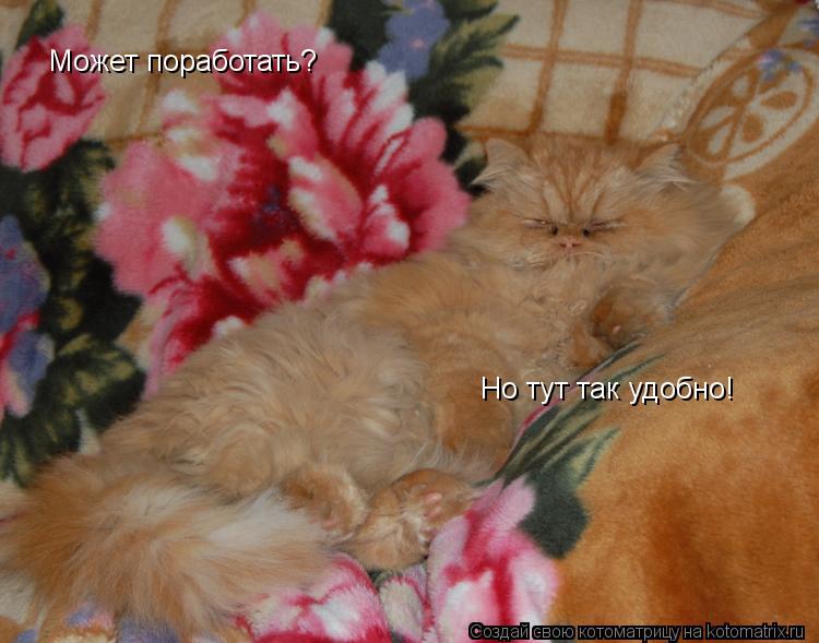 Может поработать? Но тут так удобно!... Котоматрица: Может поработать? Но тут так удобно!