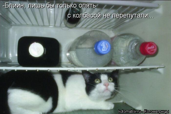 -Блиин, лишь бы только опять с колбасой не перепутали...... Котоматрица: -Блиин, лишь бы только опять с колбасой не перепутали...