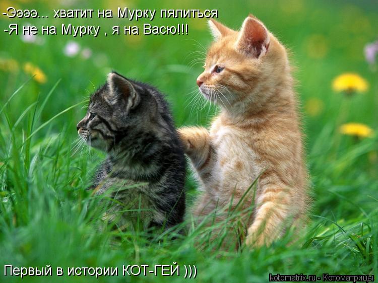 -Ээээ... хватит на Мурку пялиться -Я не на Мурку , я на Васю!!! Первый в истории КОТ-ГЕЙ )))... Котоматрица: -Ээээ... хватит на Мурку пялиться -Я не на Мурку , я на Васю!!! Первый в истории КОТ-ГЕЙ )))