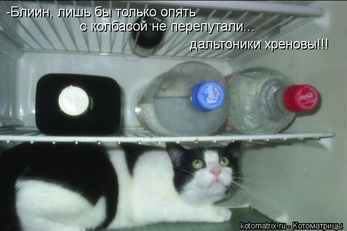 -Блиин, лишь бы только опять с колбасой не перепутали... дальтоники хреновы!!!... Котоматрица: -Блиин, лишь бы только опять с колбасой не перепутали... дальтоники хреновы!!!