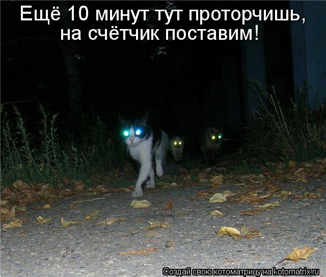 Ещё 10 минут тут проторчишь, на счётчик поставим!... Котоматрица: Ещё 10 минут тут проторчишь, на счётчик поставим!