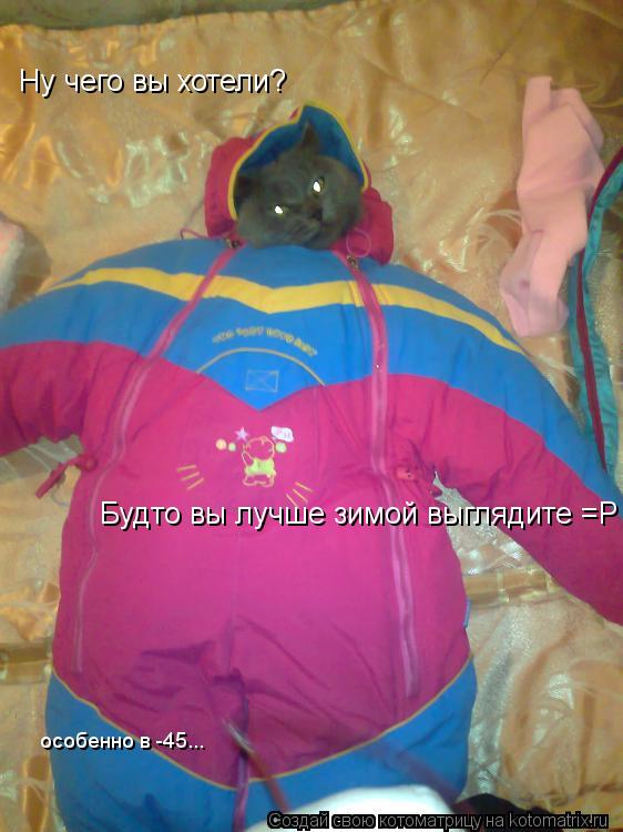Ну чего вы хотели? Будто вы лучше зимой выглядите =Р особенно в -45...... Котоматрица: Ну чего вы хотели? Будто вы лучше зимой выглядите =Р особенно в -45...