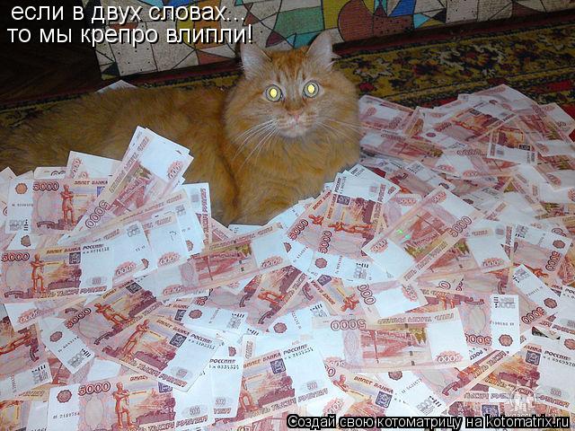 если в двух словах... то мы крепро влипли!... Котоматрица: если в двух словах... то мы крепро влипли!