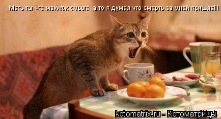 Мать ты что макияж смыла, а то я думал что смерть за мной пришла!!!... Котоматрица: Мать ты что макияж смыла, а то я думал что смерть за мной пришла!!!