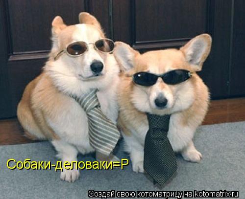 Собаки-деловаки=Р... Котоматрица: Собаки-деловаки=Р