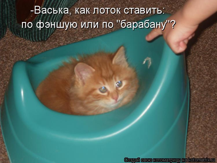 -Васька, как лоток ставить: по фэншую или по "барабану"?... Котоматрица: -Васька, как лоток ставить: по фэншую или по "барабану"?