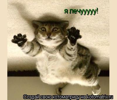 я лечууууу!... Котоматрица: я лечууууу!