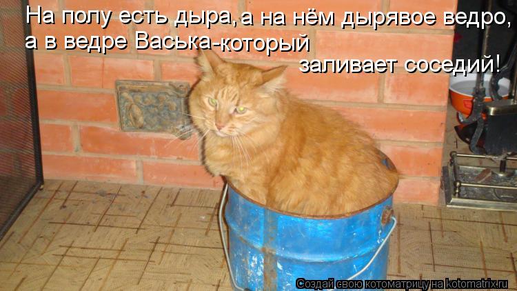 На полу есть дыра, а на нём дырявое ведро, а в ведре Васька -который заливает соседий!... Котоматрица: На полу есть дыра, а на нём дырявое ведро, а в ведре Васька -который заливает соседий!