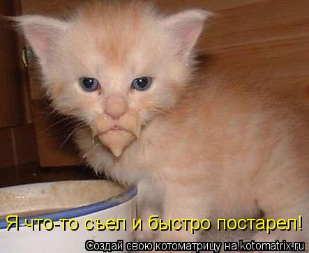 Я что-то съел и быстро постарел!... Котоматрица: Я что-то съел и быстро постарел!