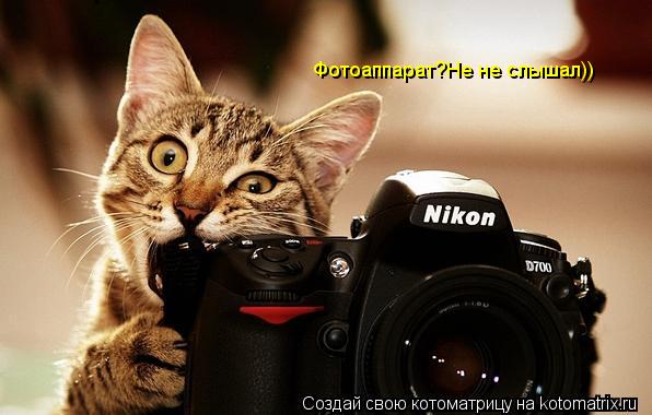 Фотоаппарат?Не не слышал))... Котоматрица: Фотоаппарат?Не не слышал))