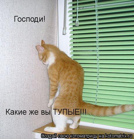 Господи! Какие же вы ТУПЫЕ!!!... Котоматрица: Господи! Какие же вы ТУПЫЕ!!!