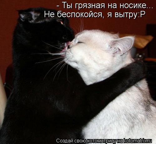 - Ты грязная на носике... Не беспокойся, я вытру:Р... Котоматрица: - Ты грязная на носике... Не беспокойся, я вытру:Р