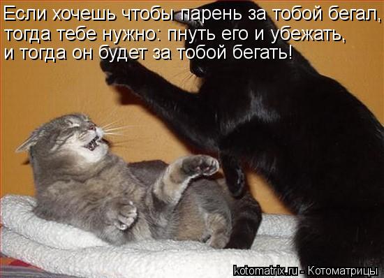 Если хочешь чтобы парень за тобой бегал, тогда тебе нужно: пнуть его и убежать, и тогда он будет за ... Котоматрица: Если хочешь чтобы парень за тобой бегал, тогда тебе нужно: пнуть его и убежать, и тогда он будет за тобой бегать!