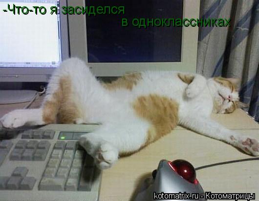 -Что-то я засиделся в одноклассниках... Котоматрица: -Что-то я засиделся в одноклассниках