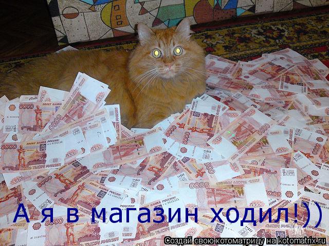 А я в магазин ходил!))... Котоматрица: А я в магазин ходил!))
