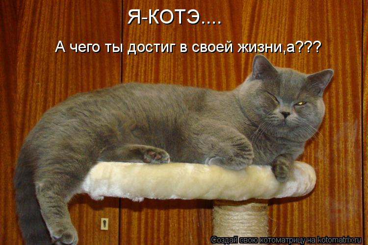Я-КОТЭ.... А чего ты достиг в своей жизни,а???... Котоматрица: Я-КОТЭ.... А чего ты достиг в своей жизни,а???