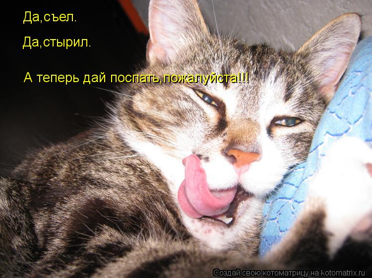 Да,съел. Да,стырил. А теперь дай поспать,пожалуйста!!!... Котоматрица: Да,съел. Да,стырил. А теперь дай поспать,пожалуйста!!!