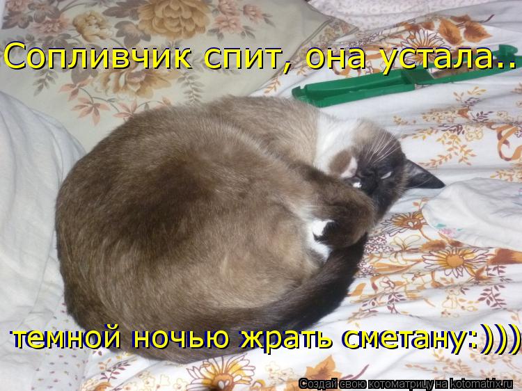 Сопливчик спит, она устала...темной ночью жрать сметану:))) Сопливчик спит, она устала... темной ночь... Котоматрица: Сопливчик спит, она устала...темной ночью жрать сметану:))) Сопливчик спит, она устала... темной ночью жрать сметану:))) темной ночью жрать смет