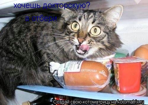 хочешь докторскую? а отбери... Котоматрица: хочешь докторскую? а отбери