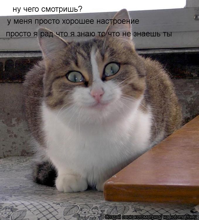 ну чего смотришь? у меня просто хорошее настроение просто я рад что я знаю то что не знаешь ты... Котоматрица: ну чего смотришь? у меня просто хорошее настроение просто я рад что я знаю то что не знаешь ты