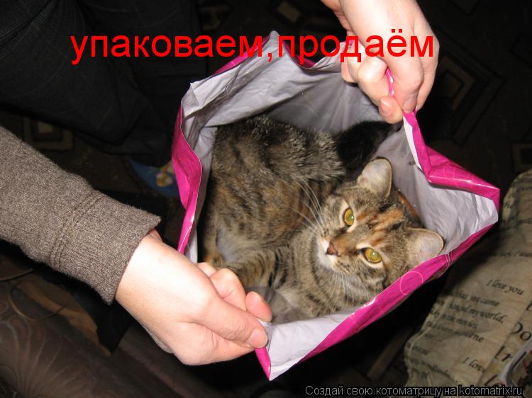 упаковаем,продаём... Котоматрица: упаковаем,продаём
