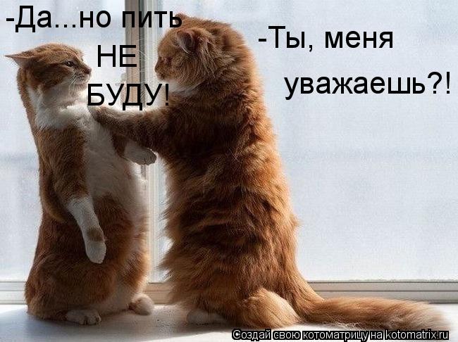 -Ты, меня уважаешь?! -Да...но пить НЕ БУДУ!... Котоматрица: -Ты, меня уважаешь?! -Да...но пить НЕ БУДУ!