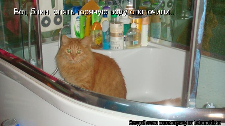 Вот, блин, опять горячую воду отключили...... Котоматрица: Вот, блин, опять горячую воду отключили...