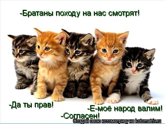 -Братаны походу на нас смотрят! -Да ты прав! -Е-моё народ валим! -Согласен!... Котоматрица: -Братаны походу на нас смотрят! -Да ты прав! -Е-моё народ валим! -Согласен!