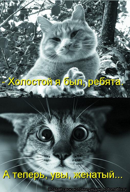 - Холостой я был, ребята. А теперь, увы, женатый...... Котоматрица: - Холостой я был, ребята. А теперь, увы, женатый...