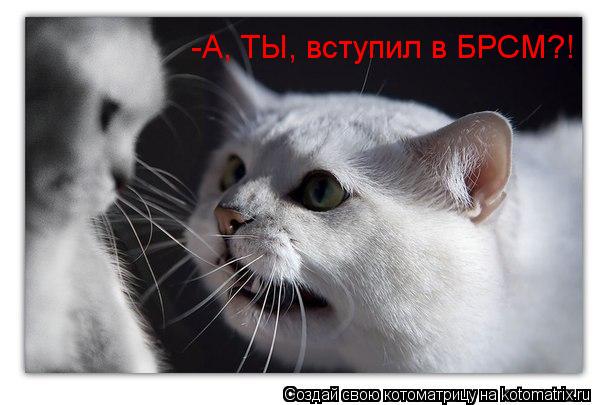 -А, ТЫ, вступил в БРСМ?!... Котоматрица: -А, ТЫ, вступил в БРСМ?!