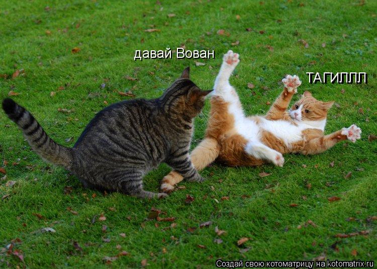 давай Вован ТАГИЛЛЛ ТАГИЛЛЛ... Котоматрица: давай Вован ТАГИЛЛЛ ТАГИЛЛЛ