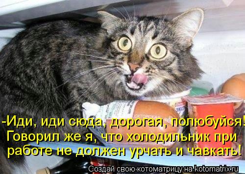 -Иди, иди сюда, дорогая, полюбуйся! Говорил же я, что холодильник при работе не должен урчать и чавка... Котоматрица: -Иди, иди сюда, дорогая, полюбуйся! Говорил же я, что холодильник при работе не должен урчать и чавкать!